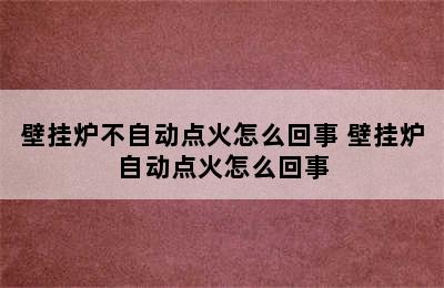 壁挂炉不自动点火怎么回事 壁挂炉自动点火怎么回事